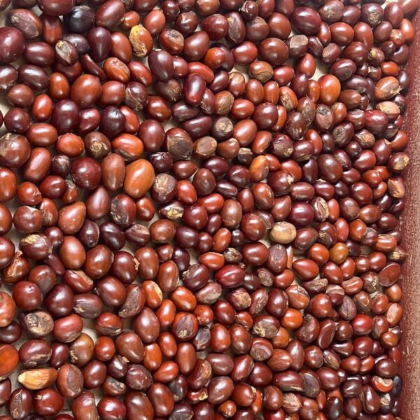 tas-amandes